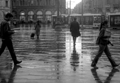 Prima che facesse sera, in libreria